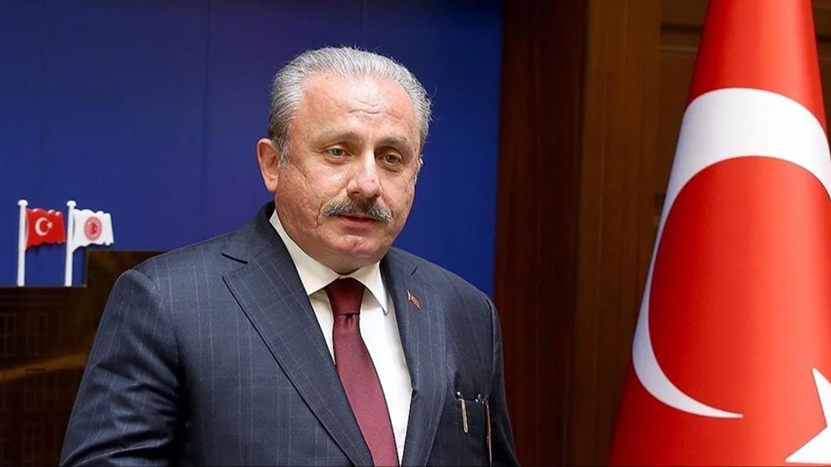 TBMM Başkanı Şentop: Seçimler tereddütsüz güveni sağlayacak şeffaflıkla gerçekleştirilmiştir