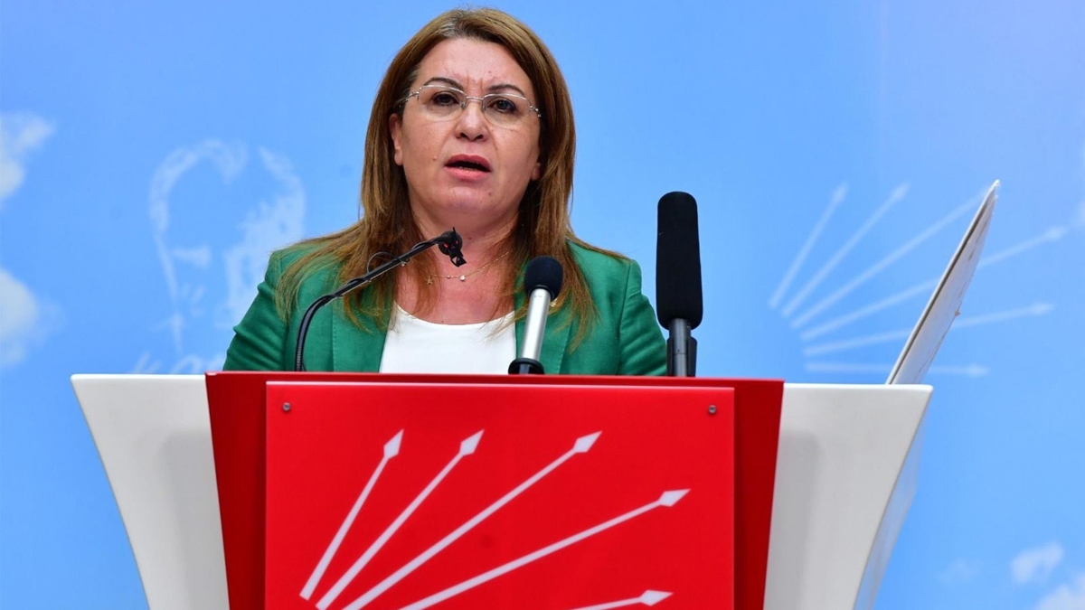 CHP'li Glizar Bier Karaca, danmannn maana kt, dllendirildi