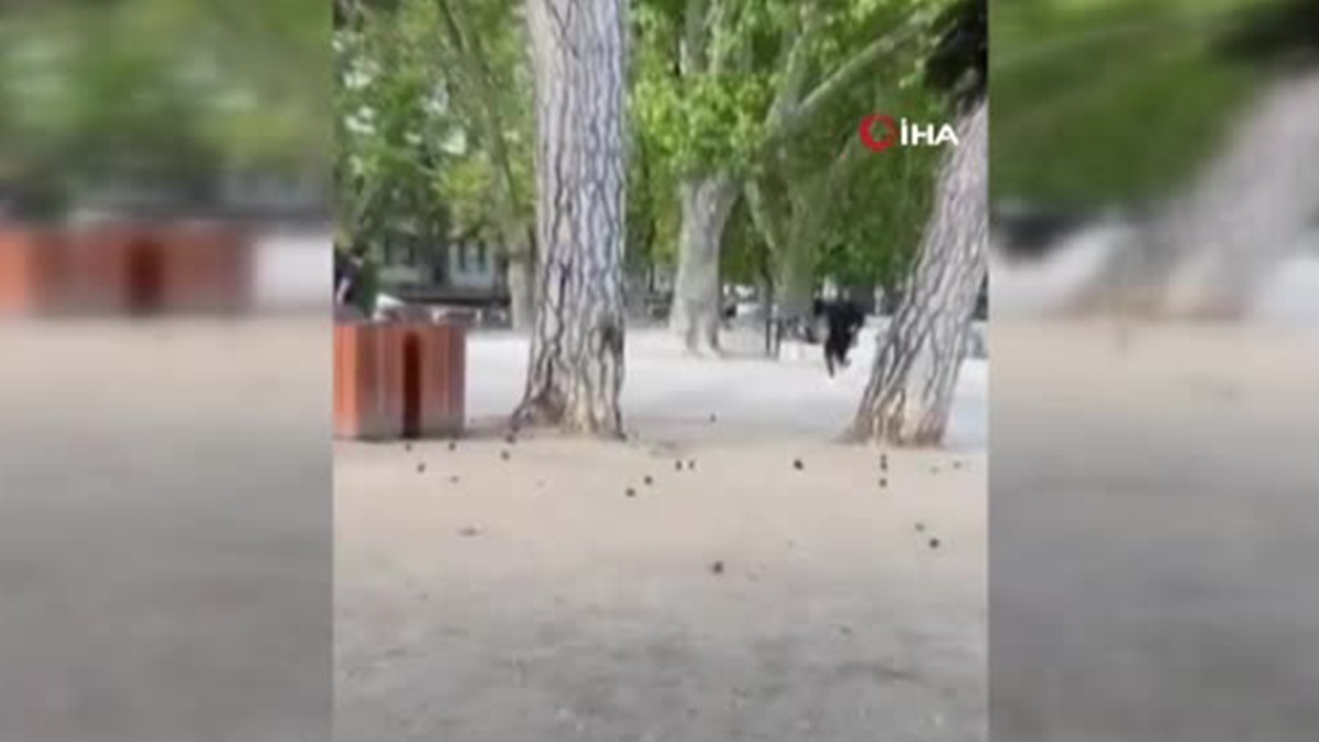 Fransa'da çocuklara bıçaklı saldırı: Görüntüler ortaya çıktı