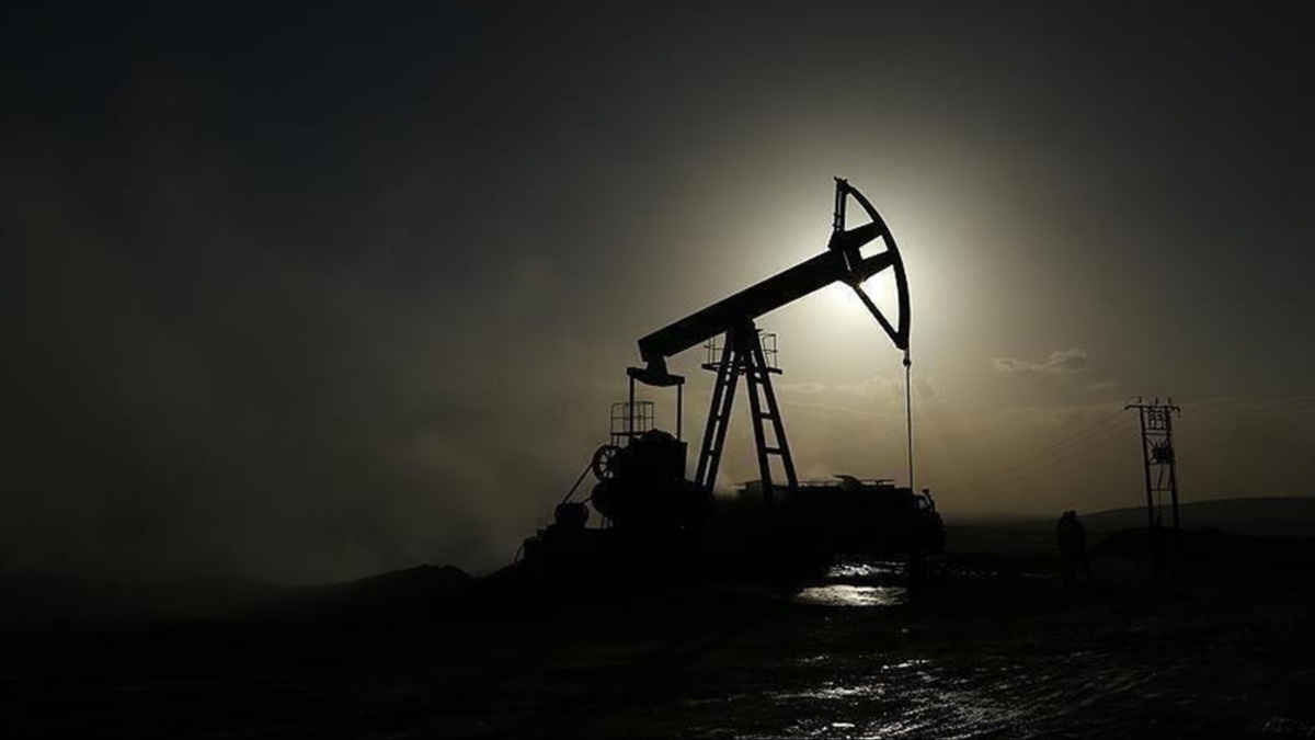 Petrol hakkna mteallik karar 