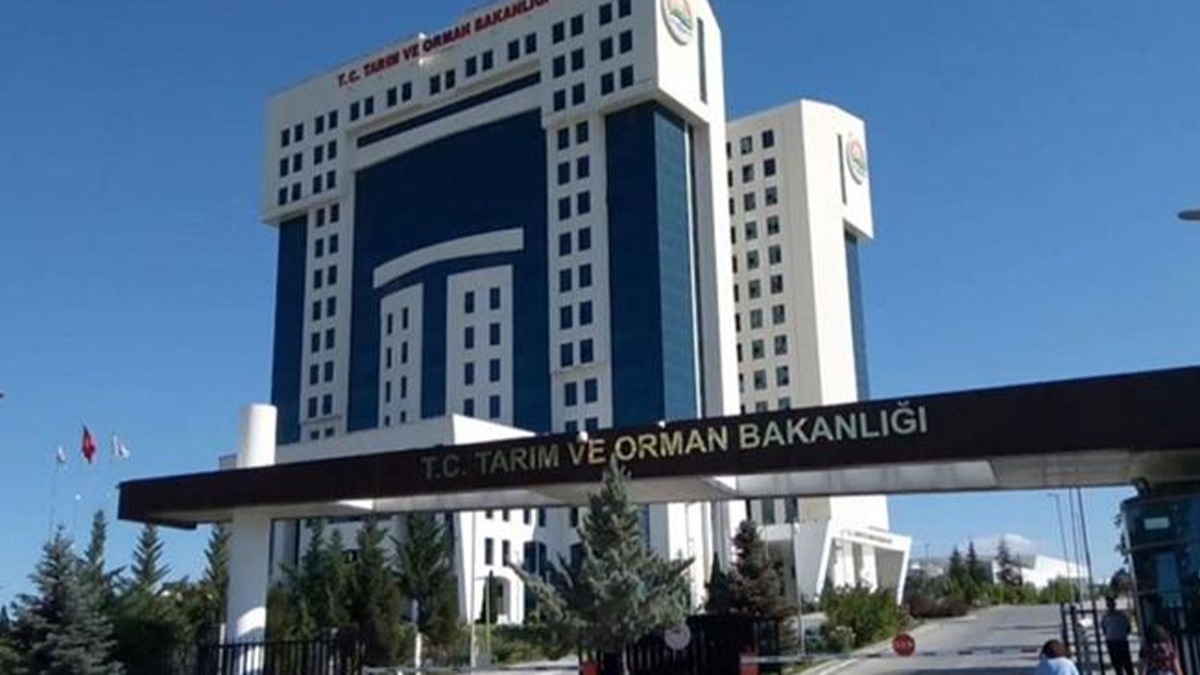 Tarm ve Orman Bakanl duyurdu: 300 milyon TL hibe salanacak  