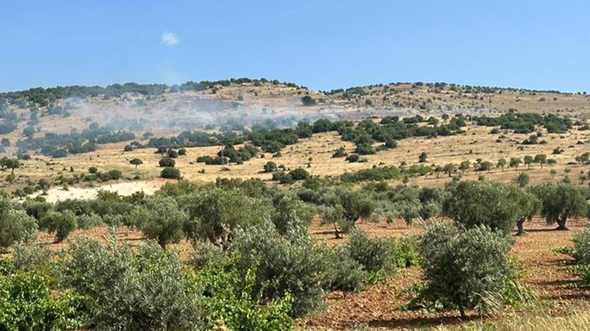 Kilis'te ormanlk alanda kan yangn sndrld