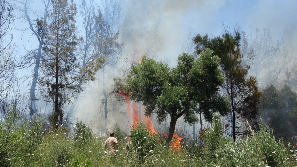 Antalya Valilii'nden ''4 kilometre'' uyars: 31 Ekim'e kadar yasakland