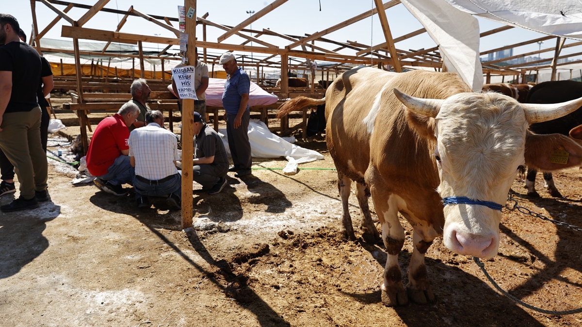 Ekiplerin kurban kesim yerlerini denetimi sryor