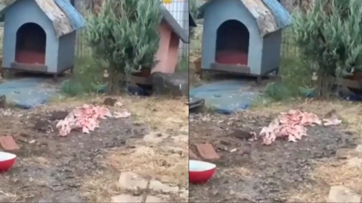 Vatandalarn fare isyanna Maltepe Belediyesi'nden pes dedirten cevap