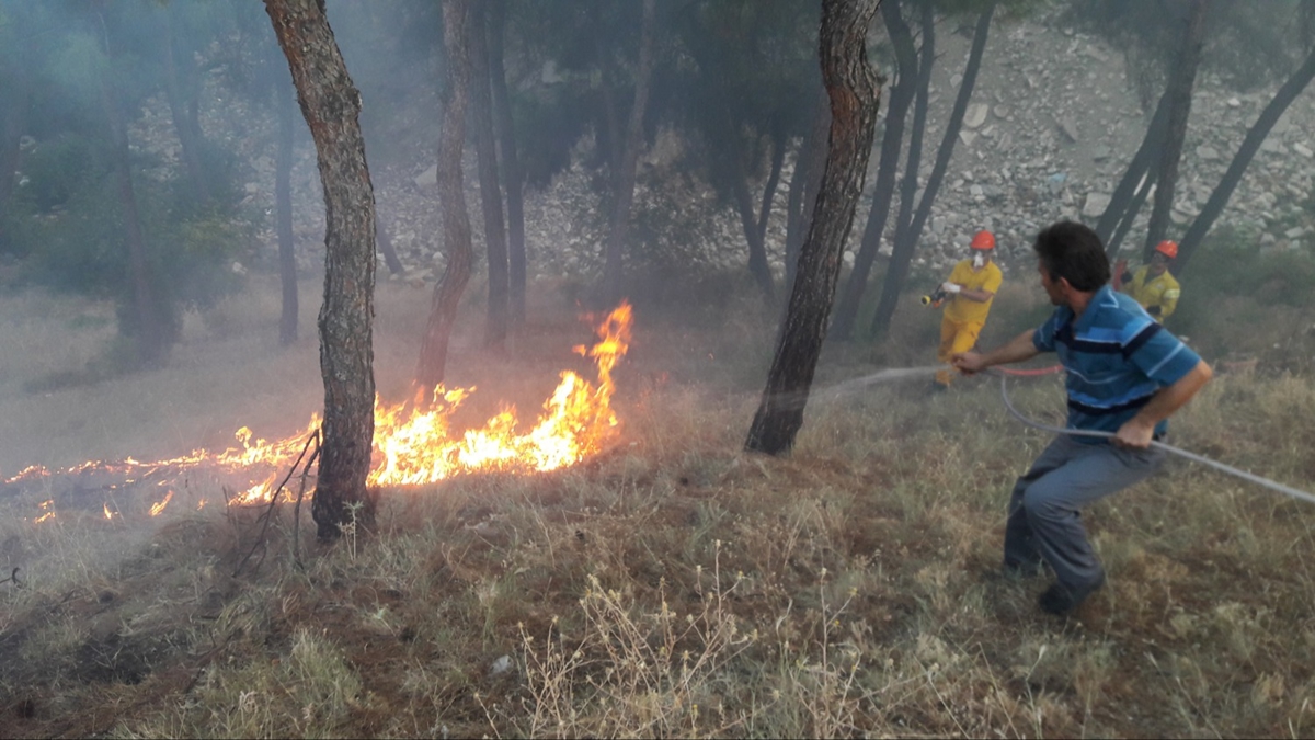 Sinop'ta kan orman yangn sndrld