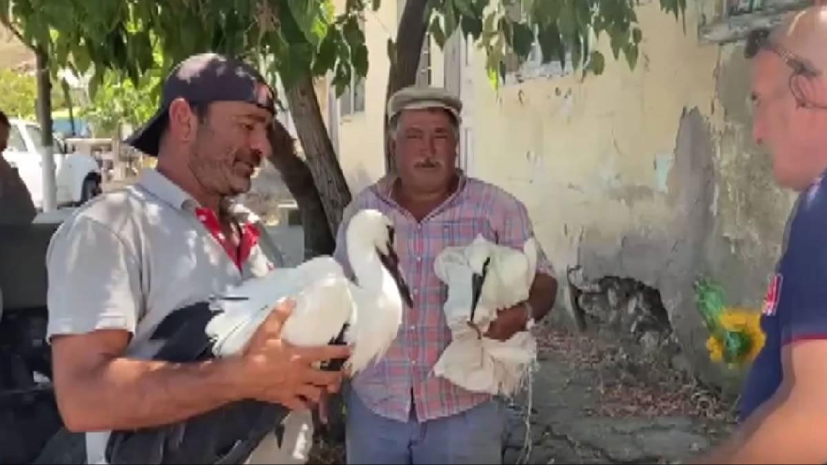 Susuz kalan 2 leylein yardmna ekipler kotu