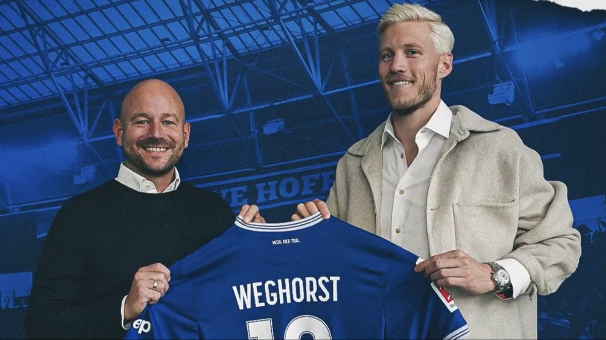 Wout Weghorst, Hoffenheim'da