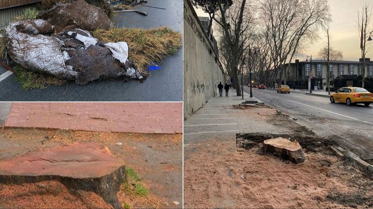 Yaptıkları tek tek yüzlerine vuruldu! Çevreci kılığına giren CHP'nin foyası böyle meydana çıktı
