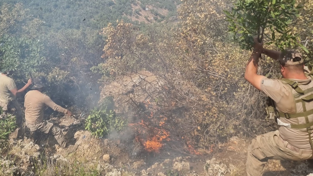 Siirt'teki yangnda 5 dnm meelik orman arazisi zarar grd