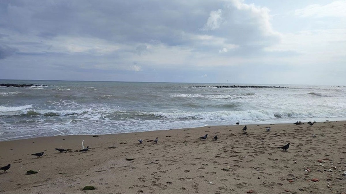 Kocaeli, Sakarya ve Zonguldak'ta denize girmek yasaklandı