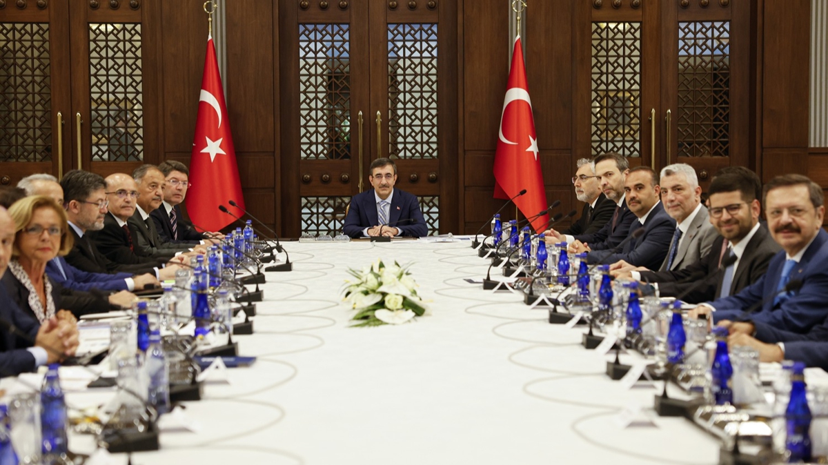 Ksa ve orta vadeli eylem plan geliyor! Cumhurbakan Yardmcs Ylmaz: Eyll ay sonu itibaryla ortaya km olacak