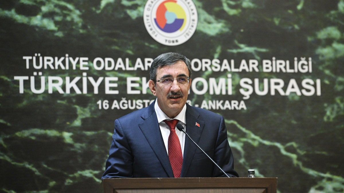 Cumhurbakan Yardmcs Ylmaz: Trkiye birok lkeden olumlu ayrt