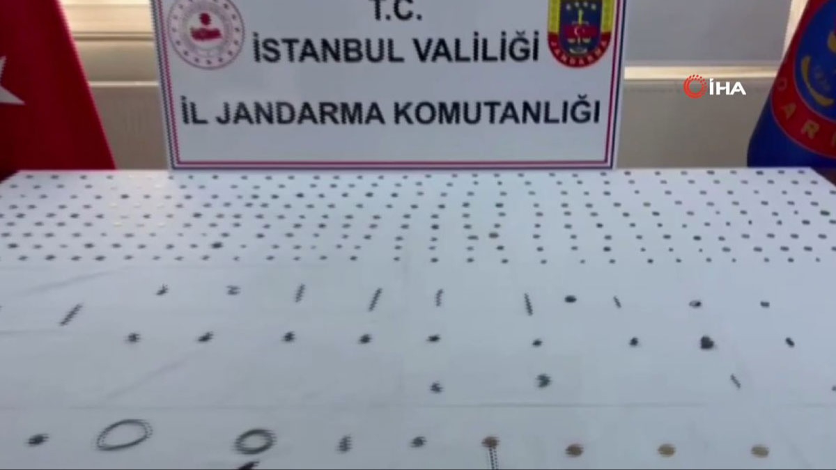 Jandarma'dan tarihi eser operasyonu: Yüzlerce sikke ve timsah kafası ele geçirildi