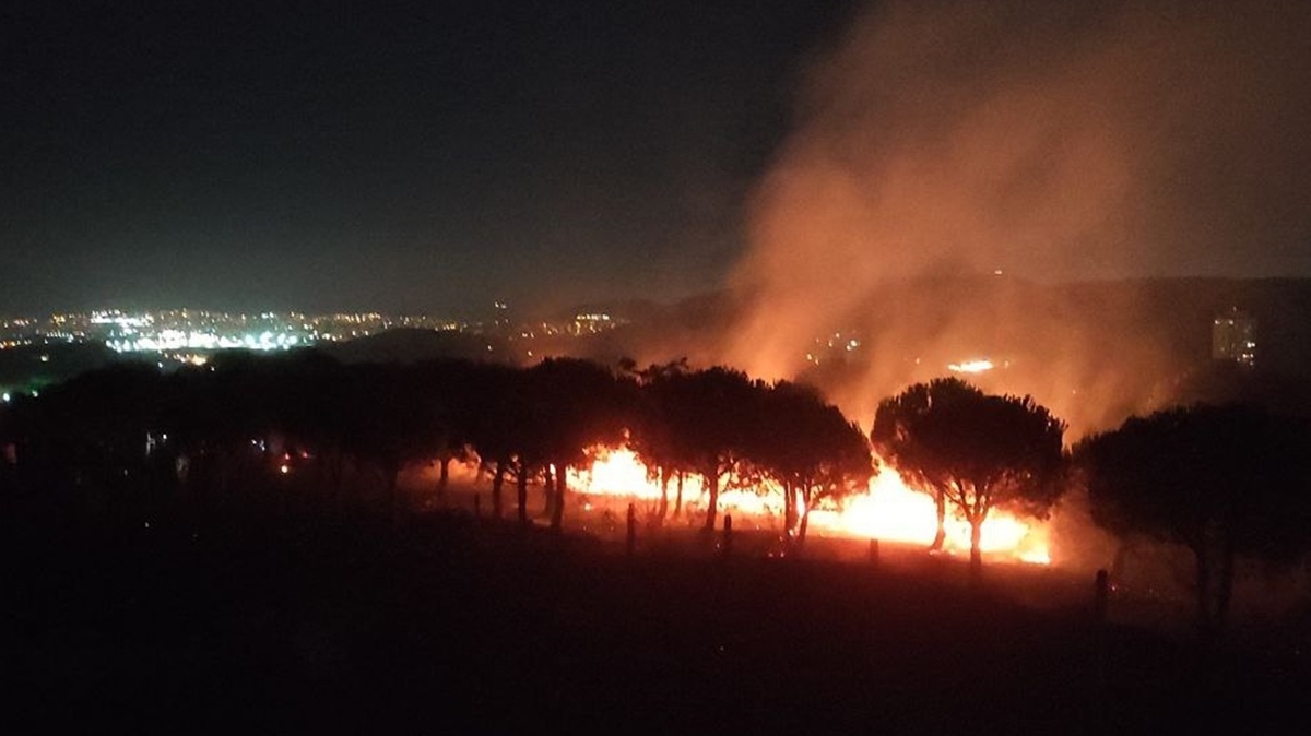 stanbul Maltepe'de kan orman yangn sndrld