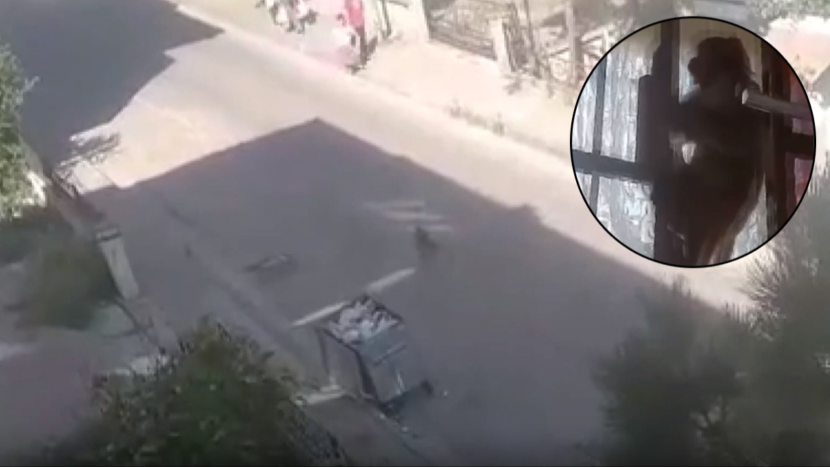 stanbul'da maymun deheti: Sahibinin elinden kap 3 kiiyi yaralad