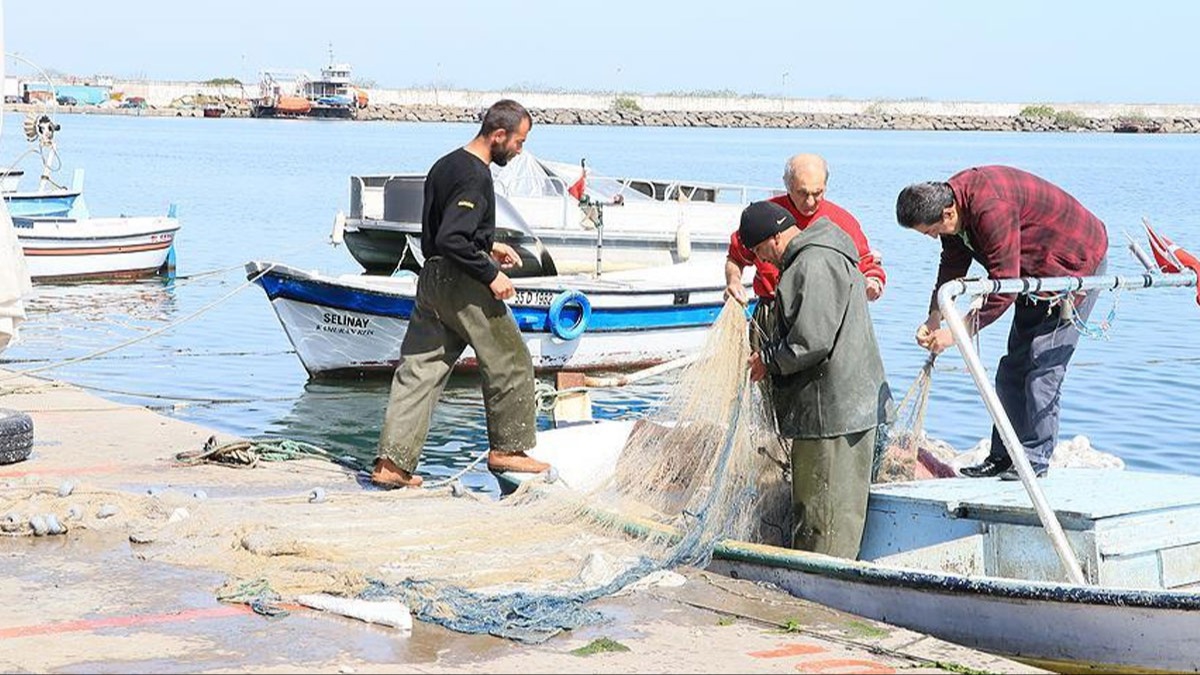 Karadenizli balklar bu sene av bereketinden umutlu