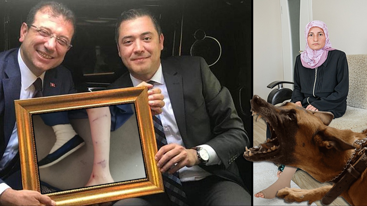 Murat Ongun'un köpeği İBB çalışanına dehşeti yaşatmıştı: Soruşturma başlatıldı