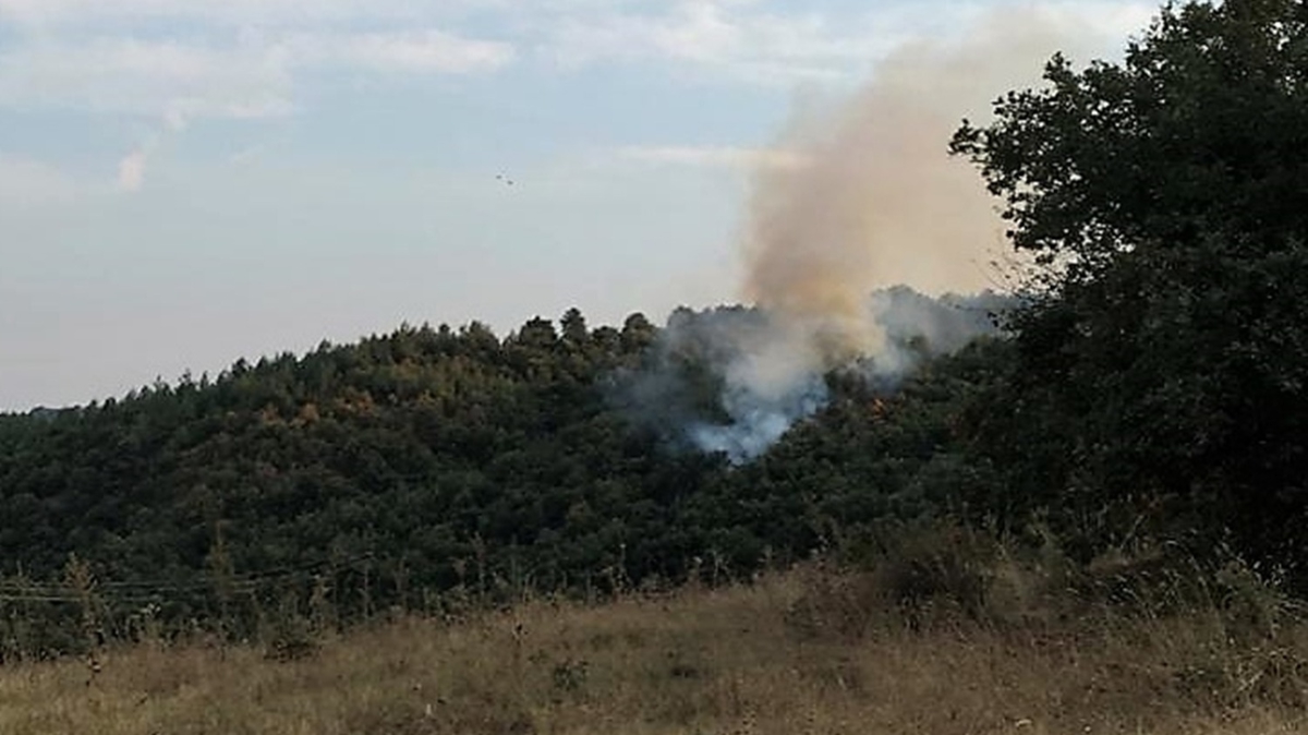 Bilecik'teki yangn kontrol altnda 
