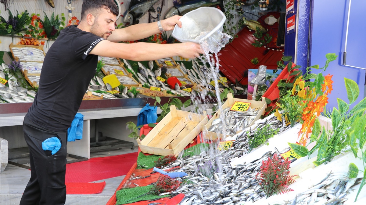 Edirne'de av yasağının bitmesiyle tezgahlar canlandı, balıkçılar memnun