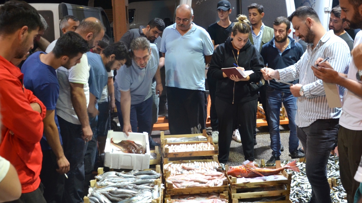 Kocaeli'de yeni sezonda balk halindeki ilk ak artrma yapld