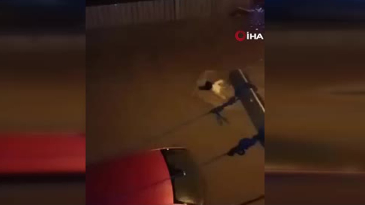 stanbul'da evini su basan vatanda yzerek kurtuldu