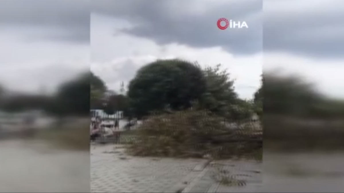 Sultanahmet'te faciadan dönüldü: Devrilen ağaç nedeniyle 10 kişi yaralandı