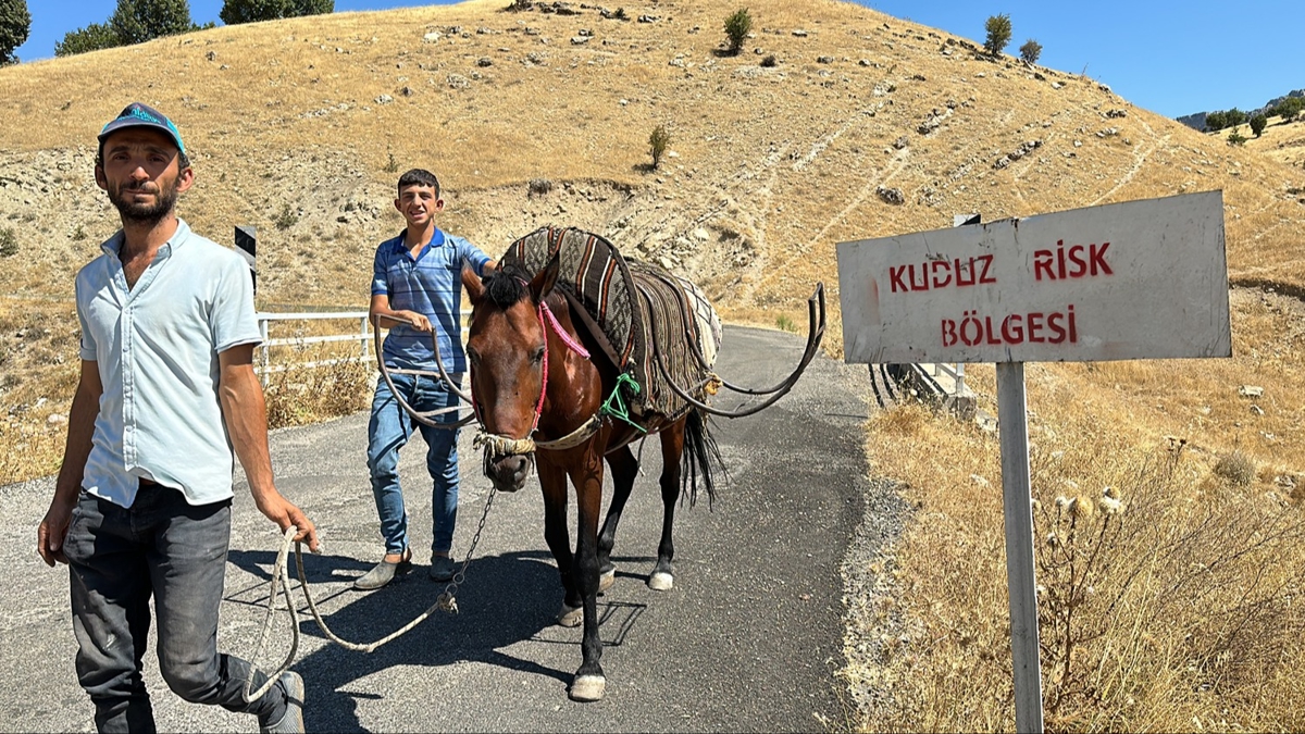 Adyaman'da bir ky kuduz' nedeniyle karantinaya alnd