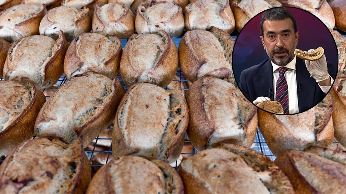Ankara Halk Ekmek'te sular durulmuyor: imdi de bakteri skandal