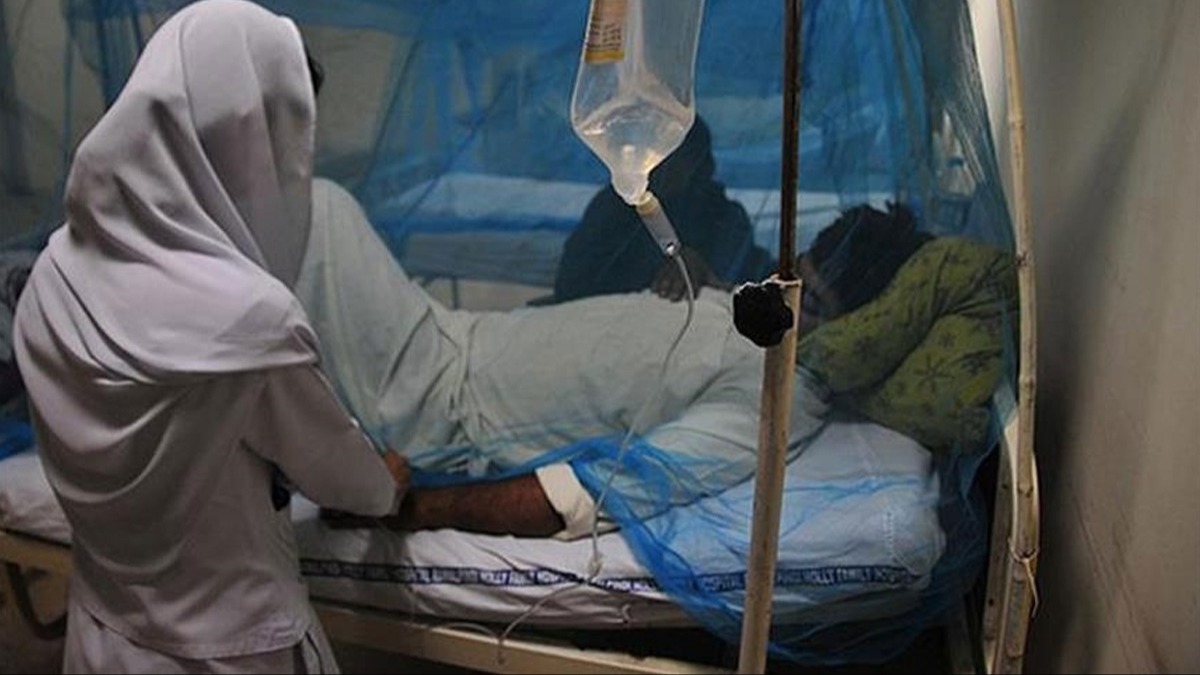 Nipah virüsü yeni küresel salgın endişesi oluşturdu
