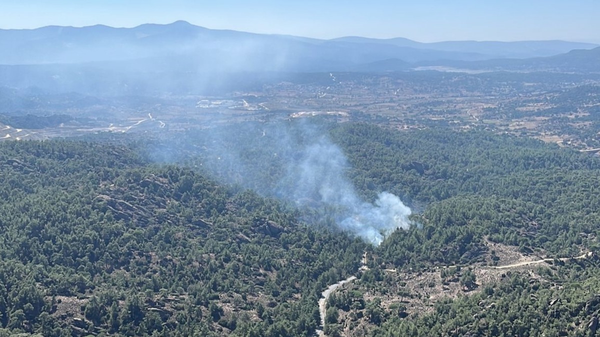Muğla'da orman yangını