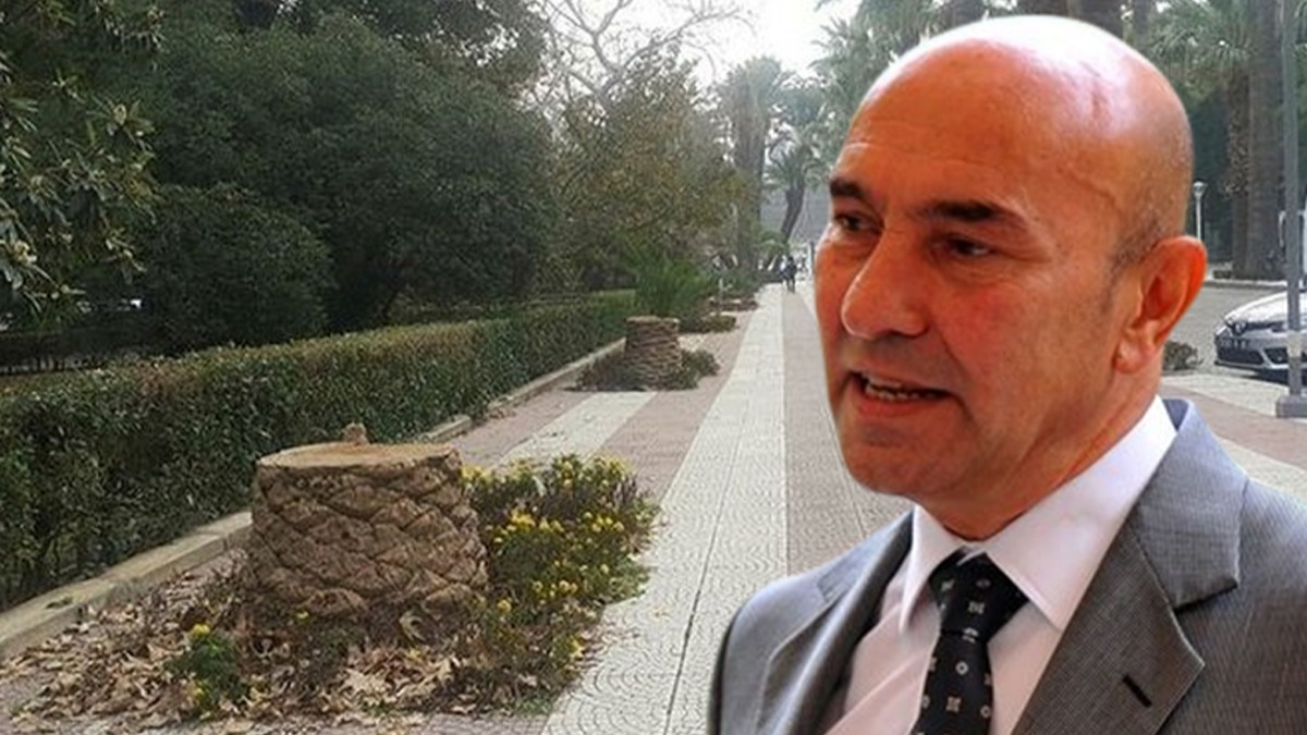 zmir'de palmiye fiyaskosu! Kentin simgesi i bilmezlie kurban gitti