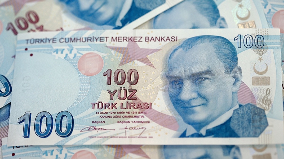 Trk lirasnn deeri artyor