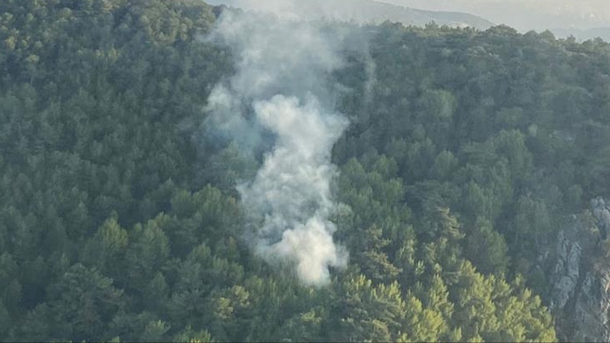Bornava'daki orman yangn kontrol altna alnd 