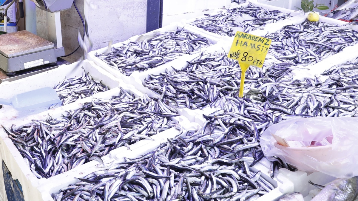 Samsun'da hamsinin fiyat 70 liraya dt 