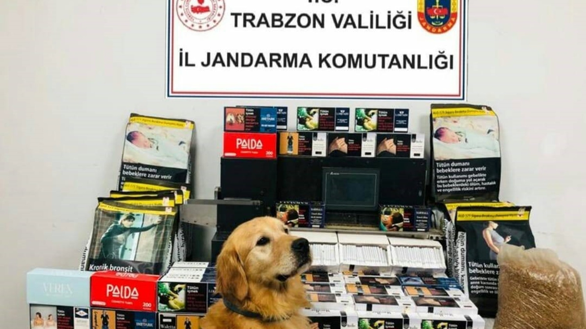 Evini kaak sigara imalathanesine eviren pheliye operasyon