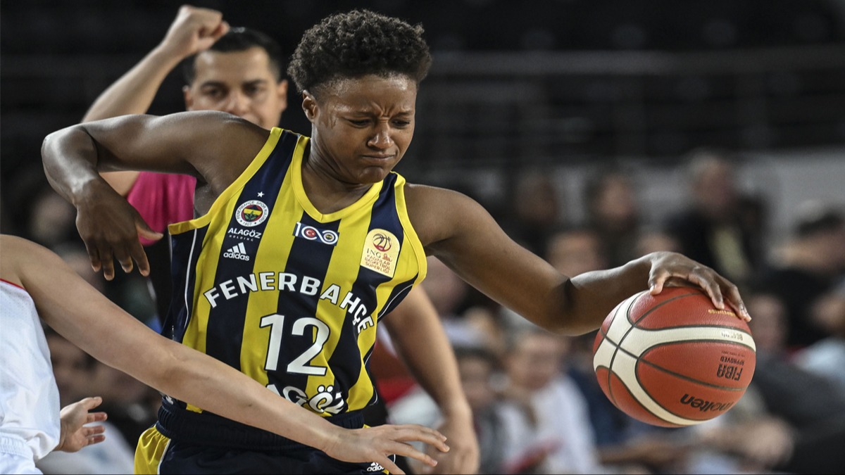 Fenerbahe Alagz, BOTA' farkl geti