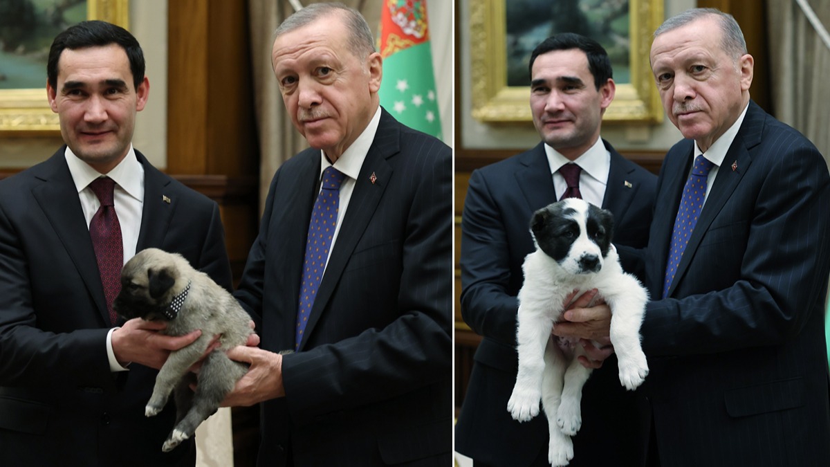Klliye'de glmseten anlar: Cumhurbakan Erdoan ile Berdimuhammedov hediyeleti  