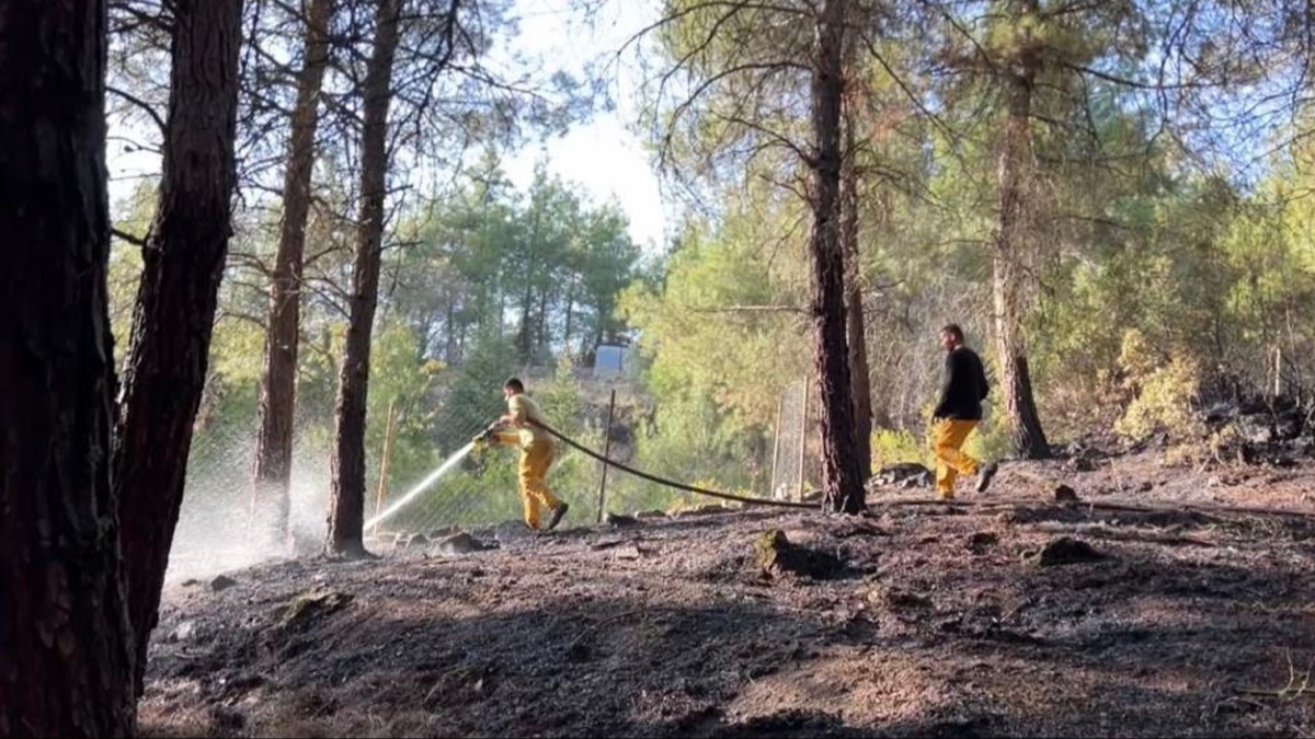 Burdur'da kan orman yangn sndrld