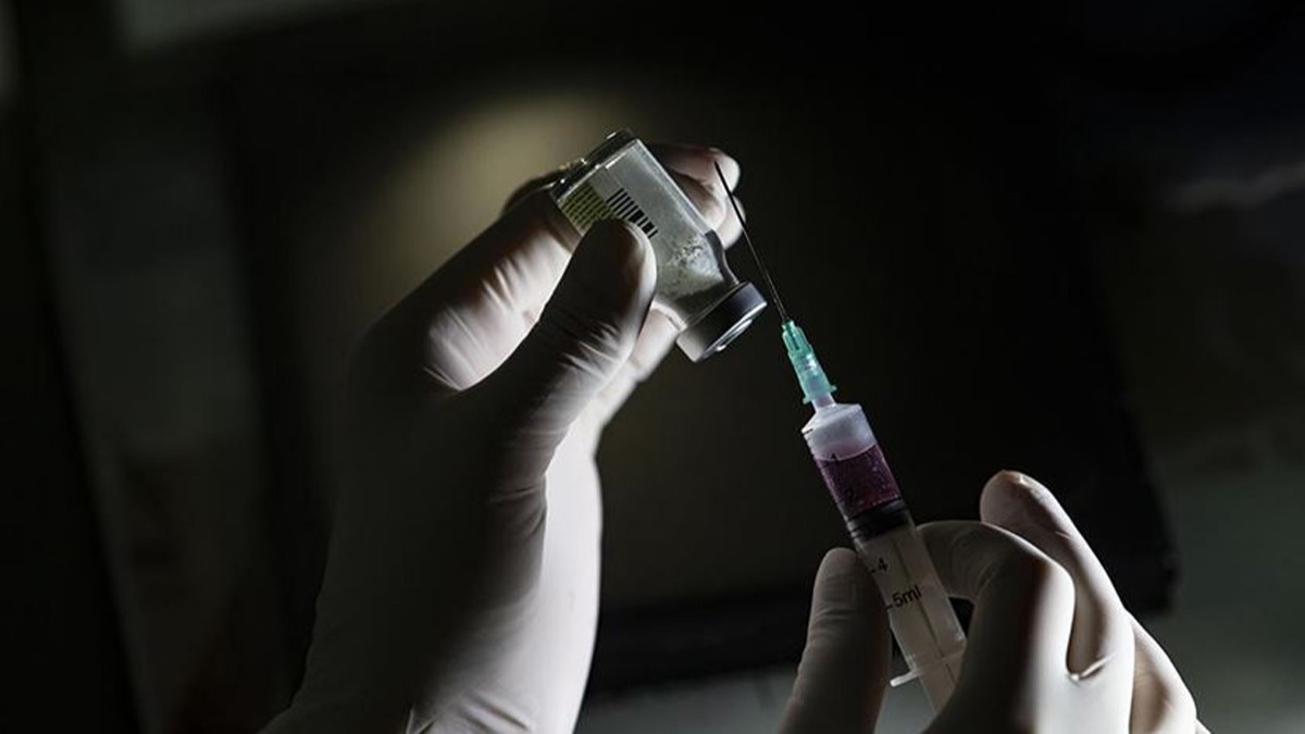 Pfizer, nc eyrekte zarar etti 