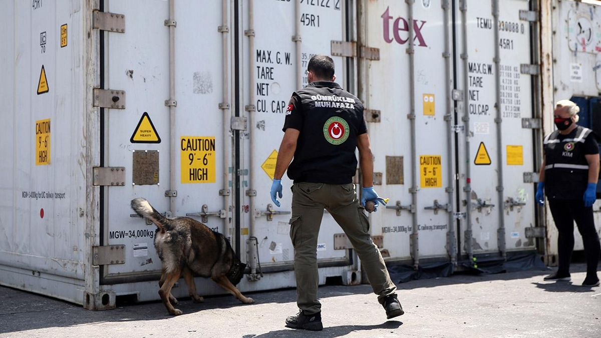 Yalova'daki liman sahasnda 10 milyon lira deerinde 80 kilo esrar ele geirildi