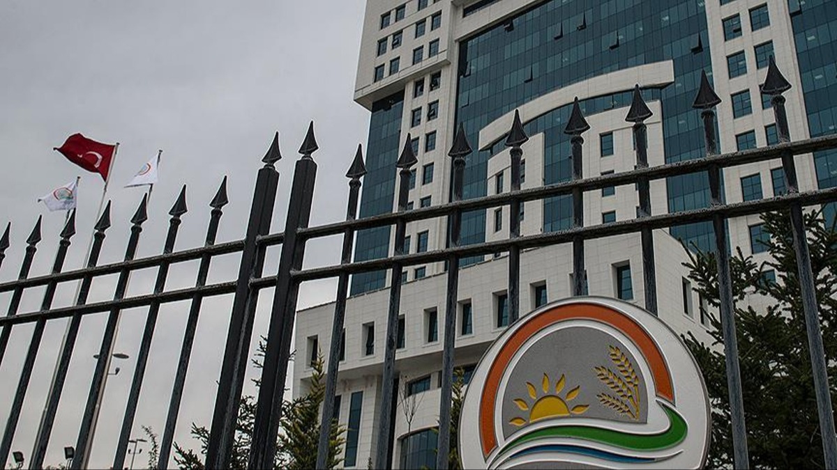 35 milyon aşılı yem uçaklardan kırsal ve ormanlık alanlara atıldı