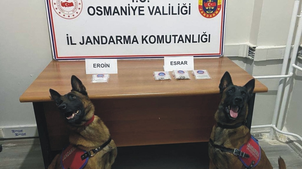 Osmaniye'de uyuturucu operasyonu
