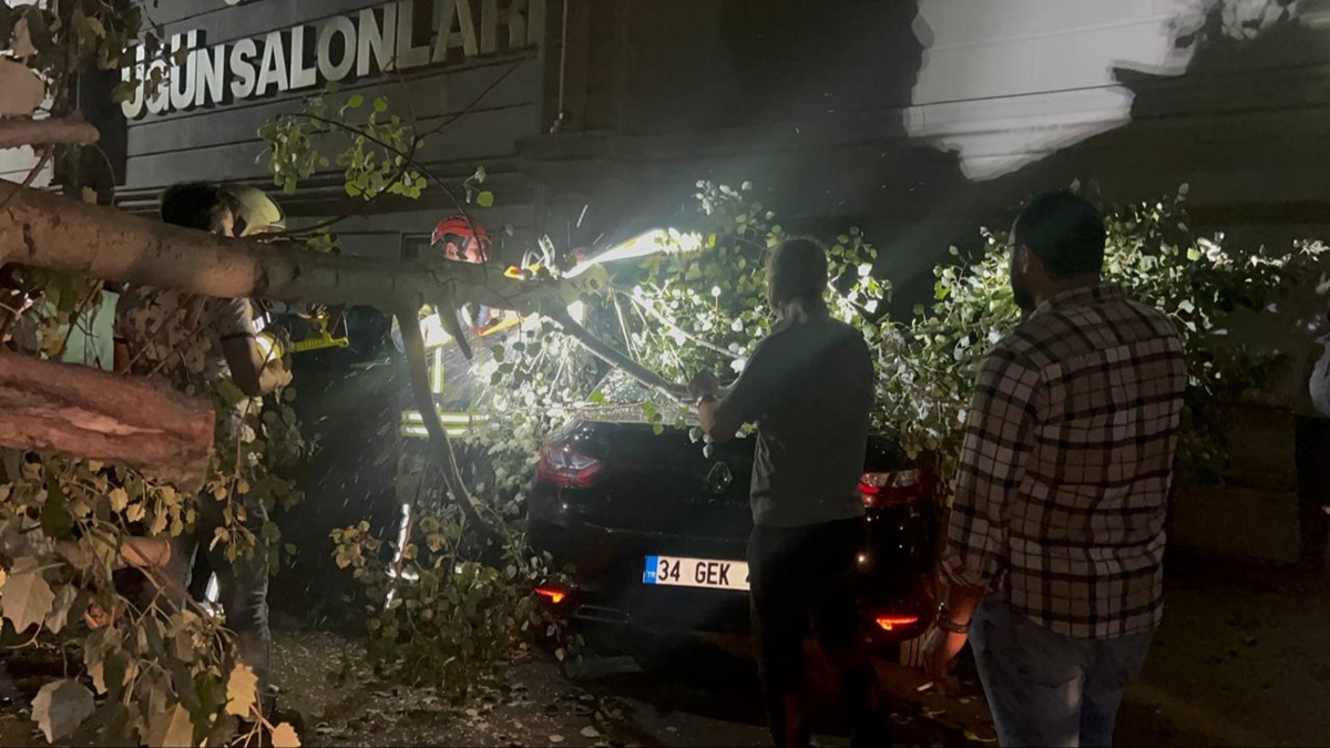 Kocaeli'de şiddetli rüzgar ağaç dallarını kırdı: 1 araçta hasar oluştu