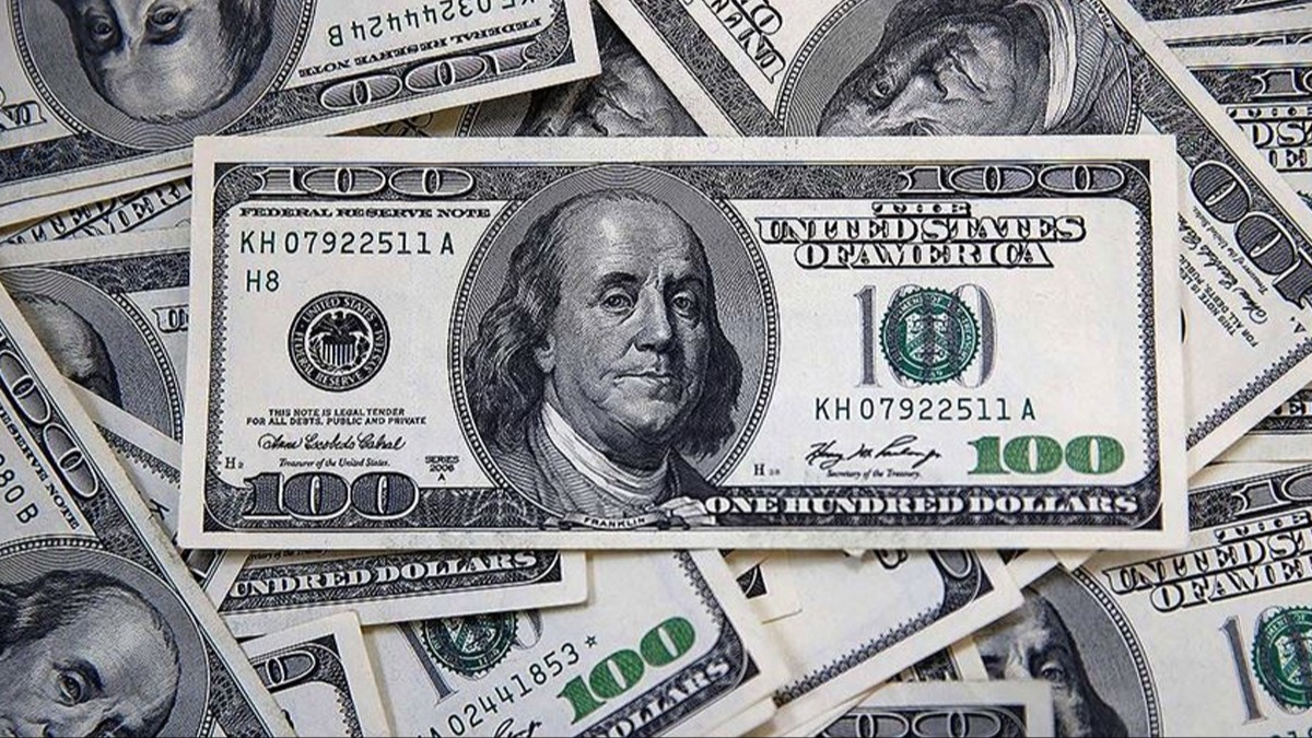 Merkez Bankas rezervleri en yksek seviyeye ulat