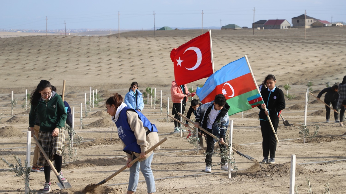 Karde lke Azerbaycan'da fidanlar toprakla bulutu 