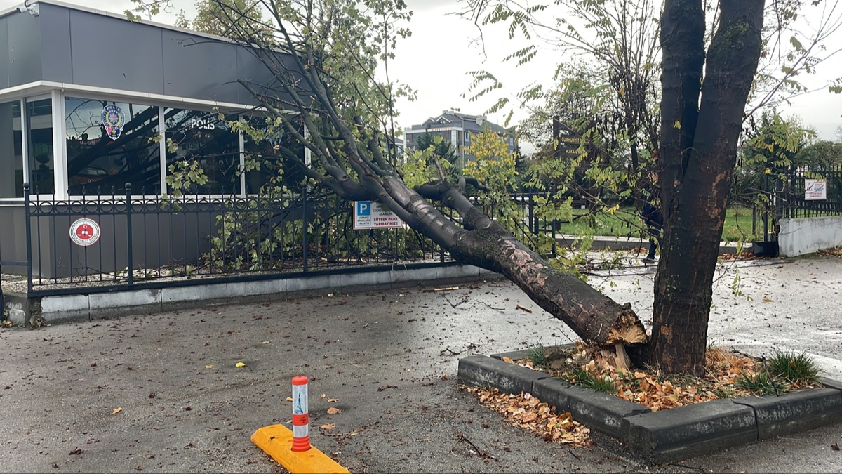 Polis kontrol noktasına ağaç devrildi