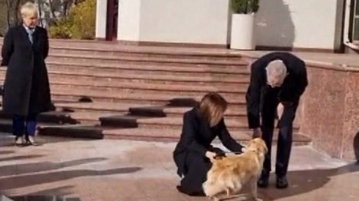 Moldova Cumhurbakan'nn kpei Avusturya Cumhurbakan'nn eline saldrd