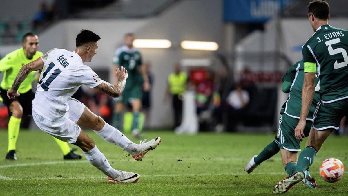 Slovenya son anda EURO 2024 biletini kapt!