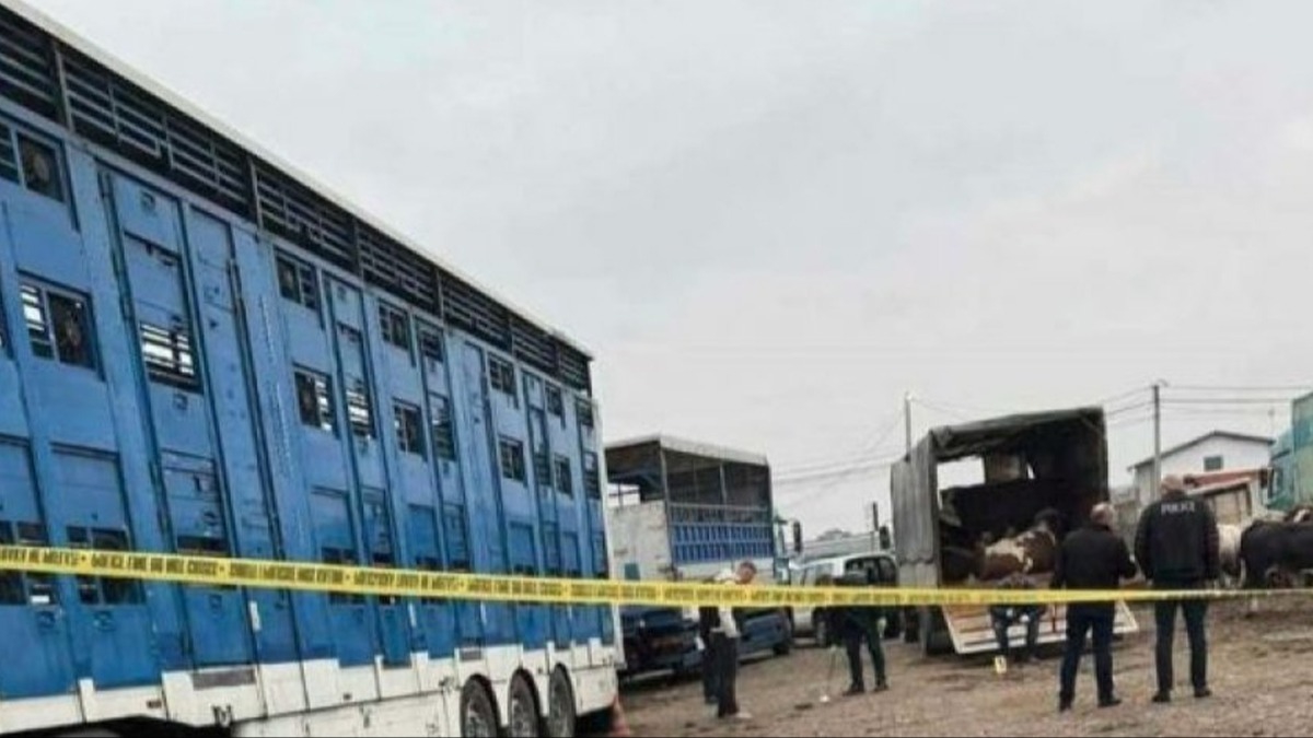 Kosova'da bombal saldr! 9 kii yaraland